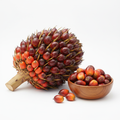 Fresh Palm Fruit 5kg